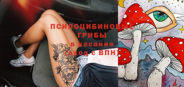 ГАЛЛЮЦИНОГЕННЫЕ ГРИБЫ Абдулино