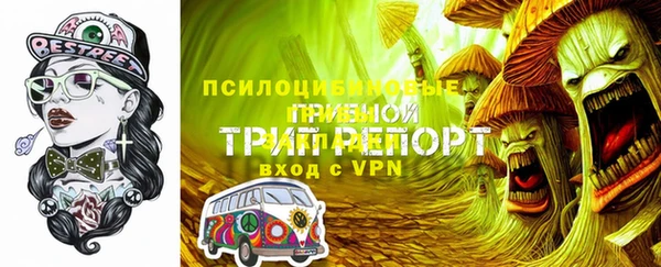 ГАЛЛЮЦИНОГЕННЫЕ ГРИБЫ Абдулино