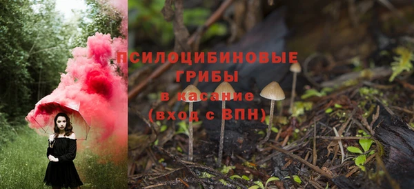 спайс Абаза