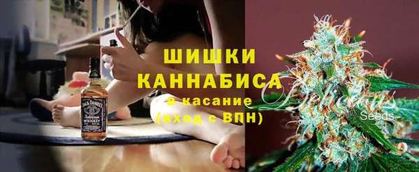ГАЛЛЮЦИНОГЕННЫЕ ГРИБЫ Абдулино