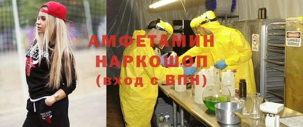 крисы Алексин