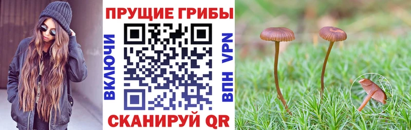 Псилоцибиновые грибы мицелий  Киренск 